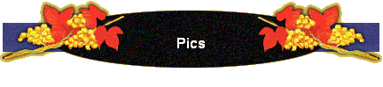 Pics